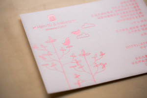 43-blushline-LW43201-02
