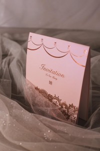 blushline-WP58301-01